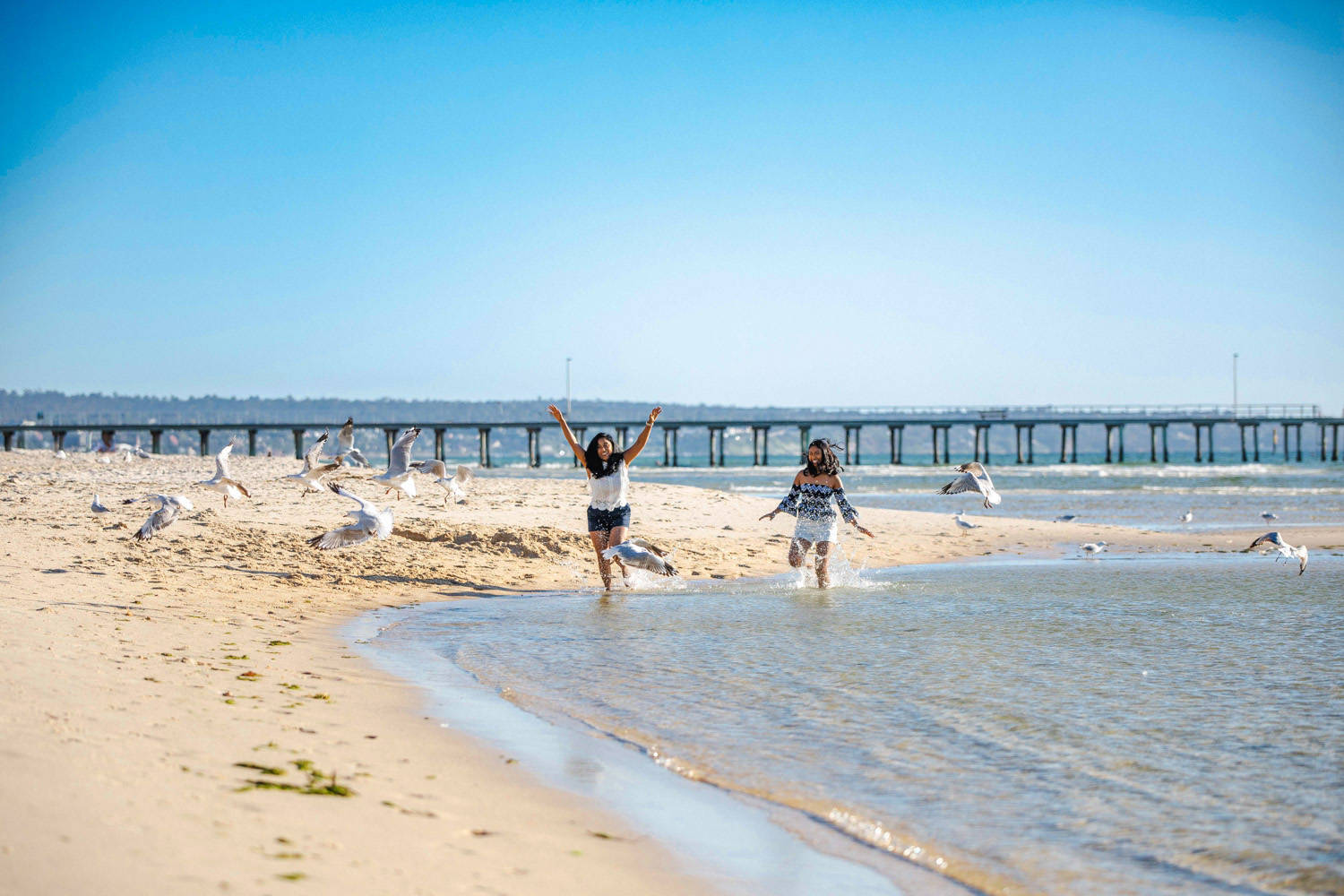running in water with birds and pier