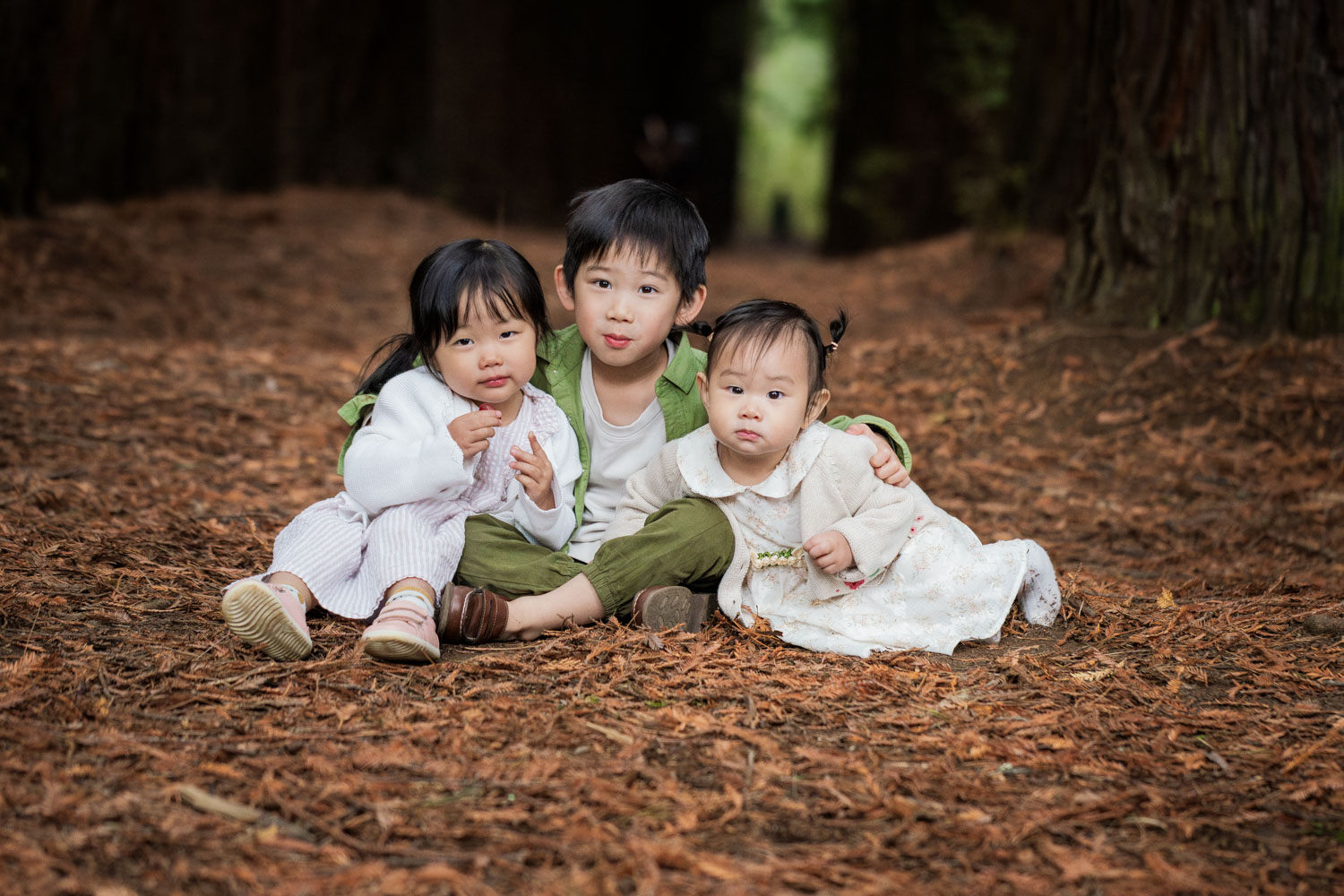 Family photography